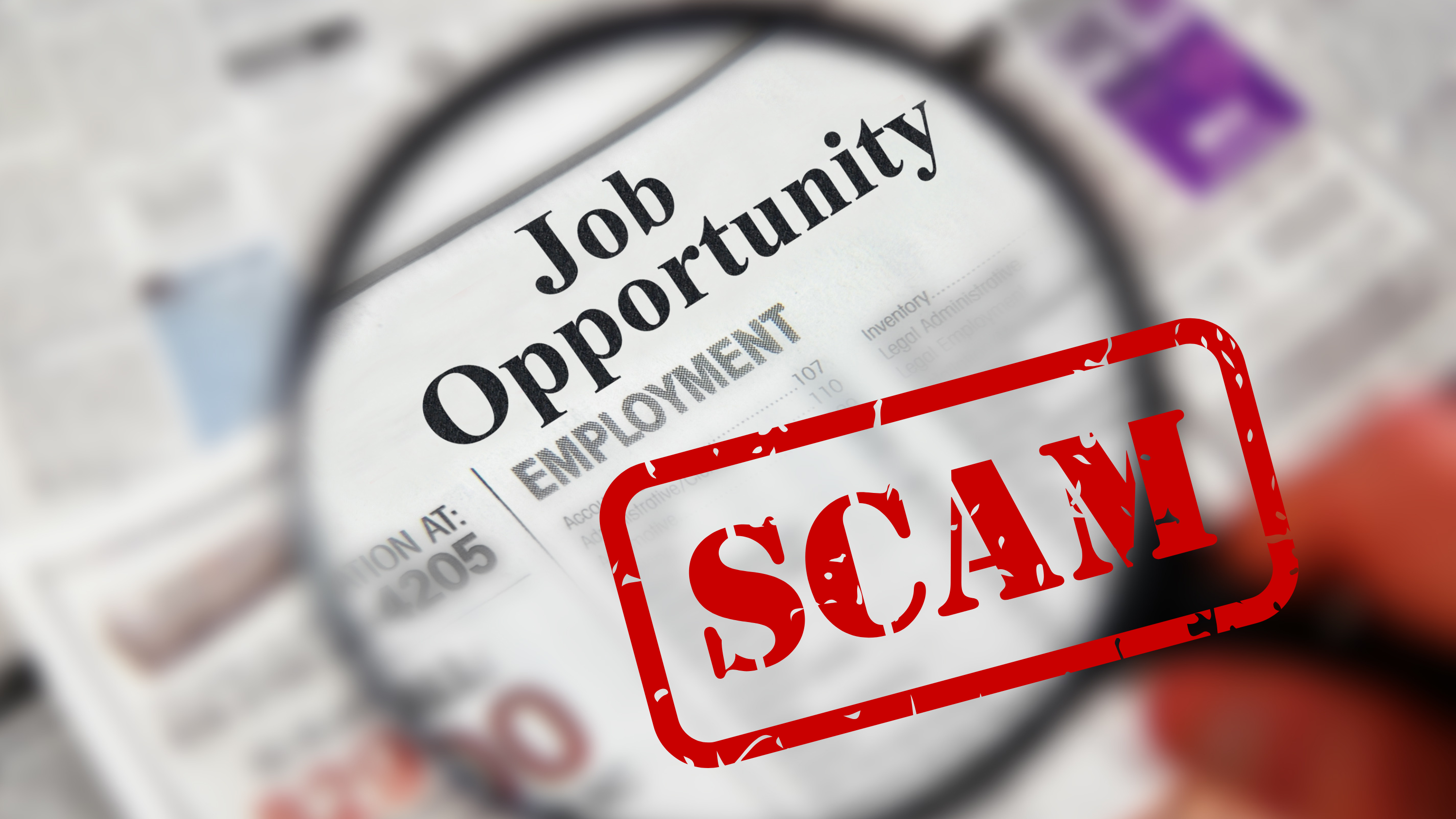 Navigating the Job Search Landscape: Steering Clear  of Scams and Uncovering Hidden Opportunities